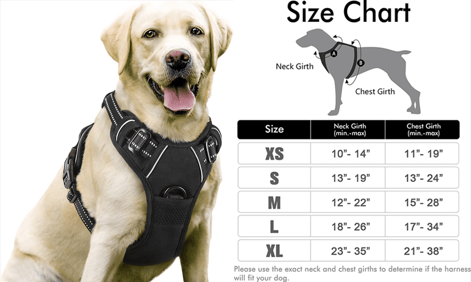 The Best Harness for Dogs Sale