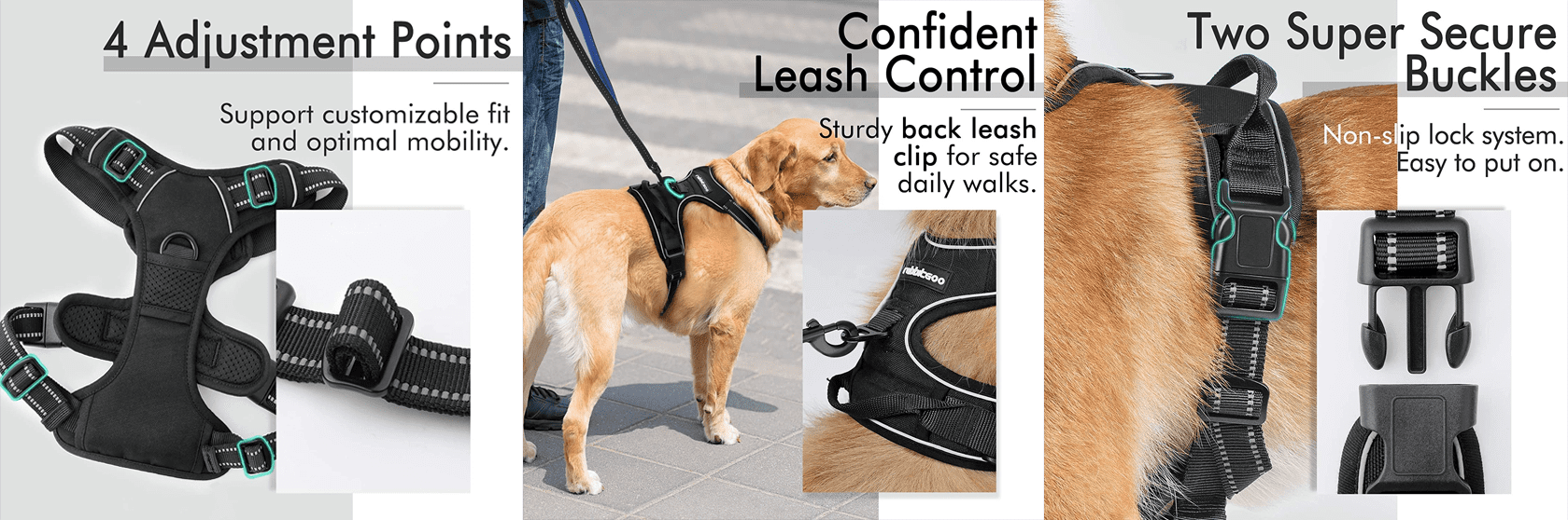 The Best Harness for Dogs Special Offer