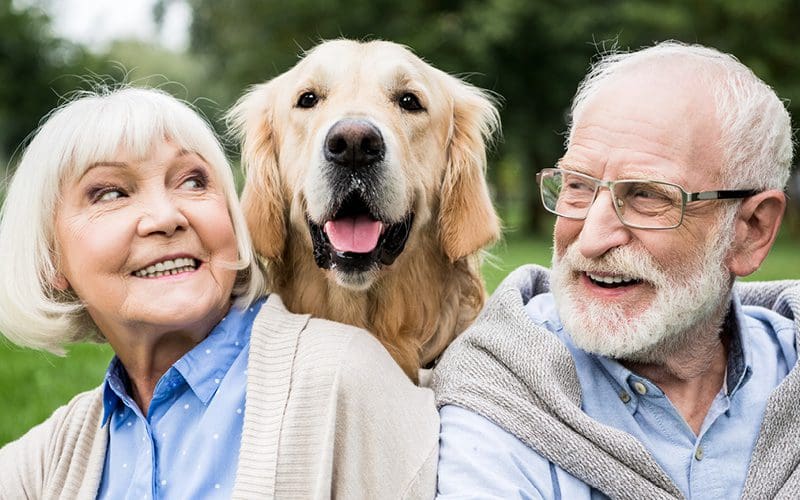 The Benefits of Having a Pet in Your Golden Years