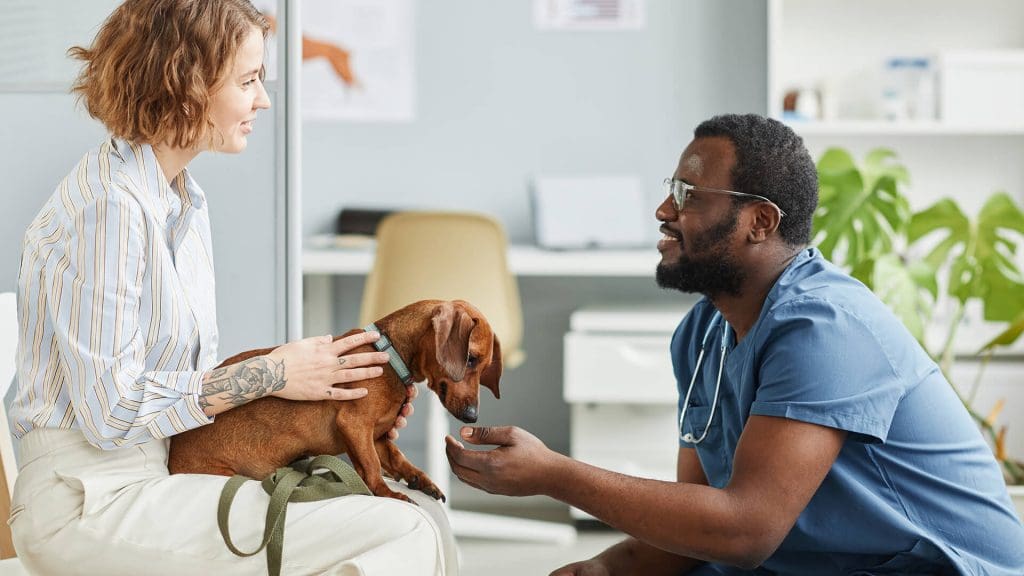 The Importance of Pet Insurance: What You Need to Know