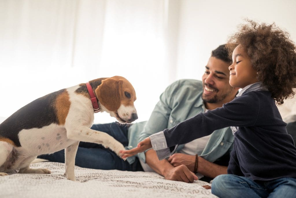 The Role of Pets in Child Development