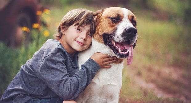 The Role of Pets in Child Development: A Closer Look