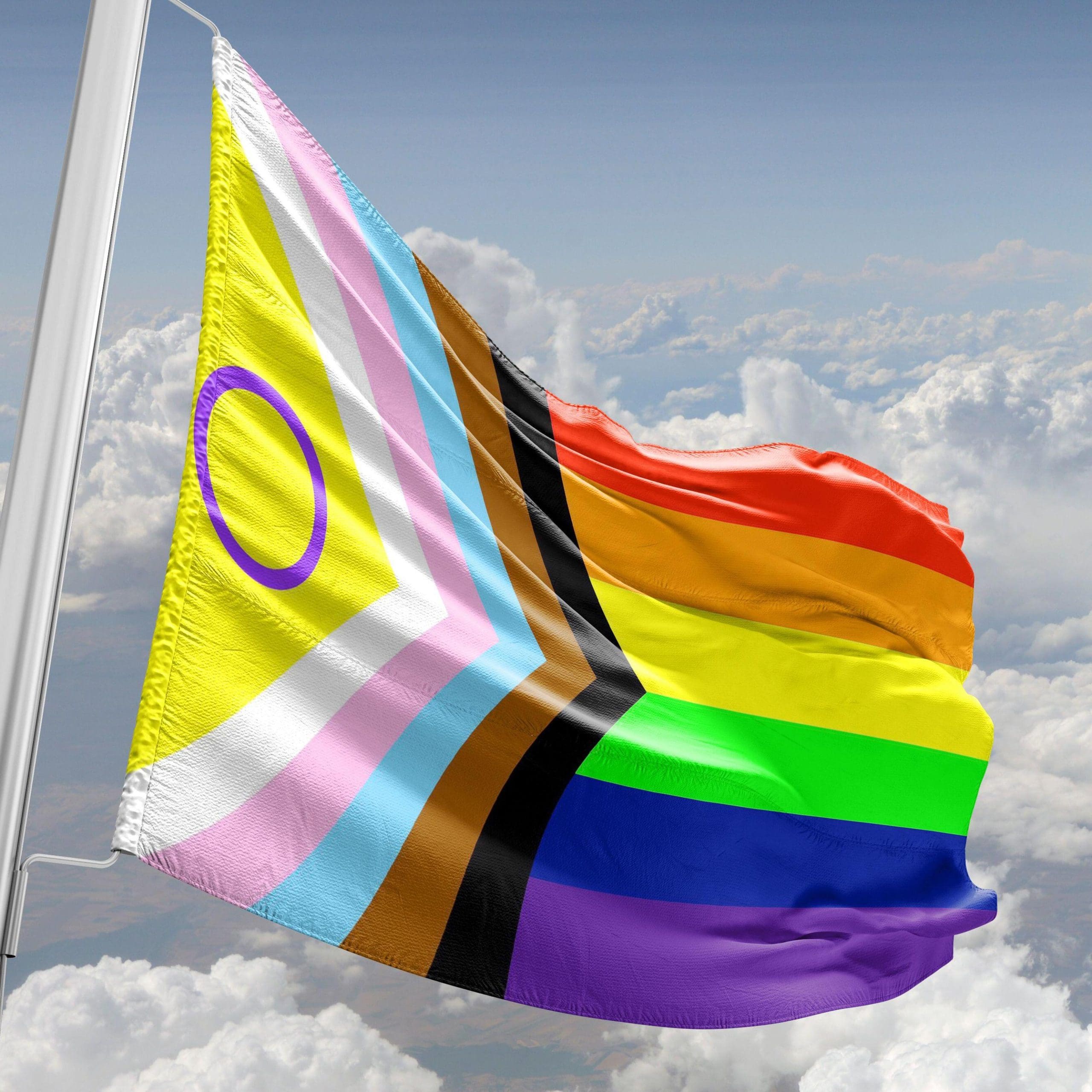 new LGBTQIA+ flag