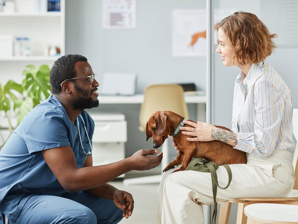 Regular Veterinary Check-ups