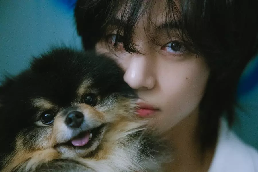 BTS's V Shatters Records Globally with Solo Debut "Layover" and Hit Single "Slow Dancing"