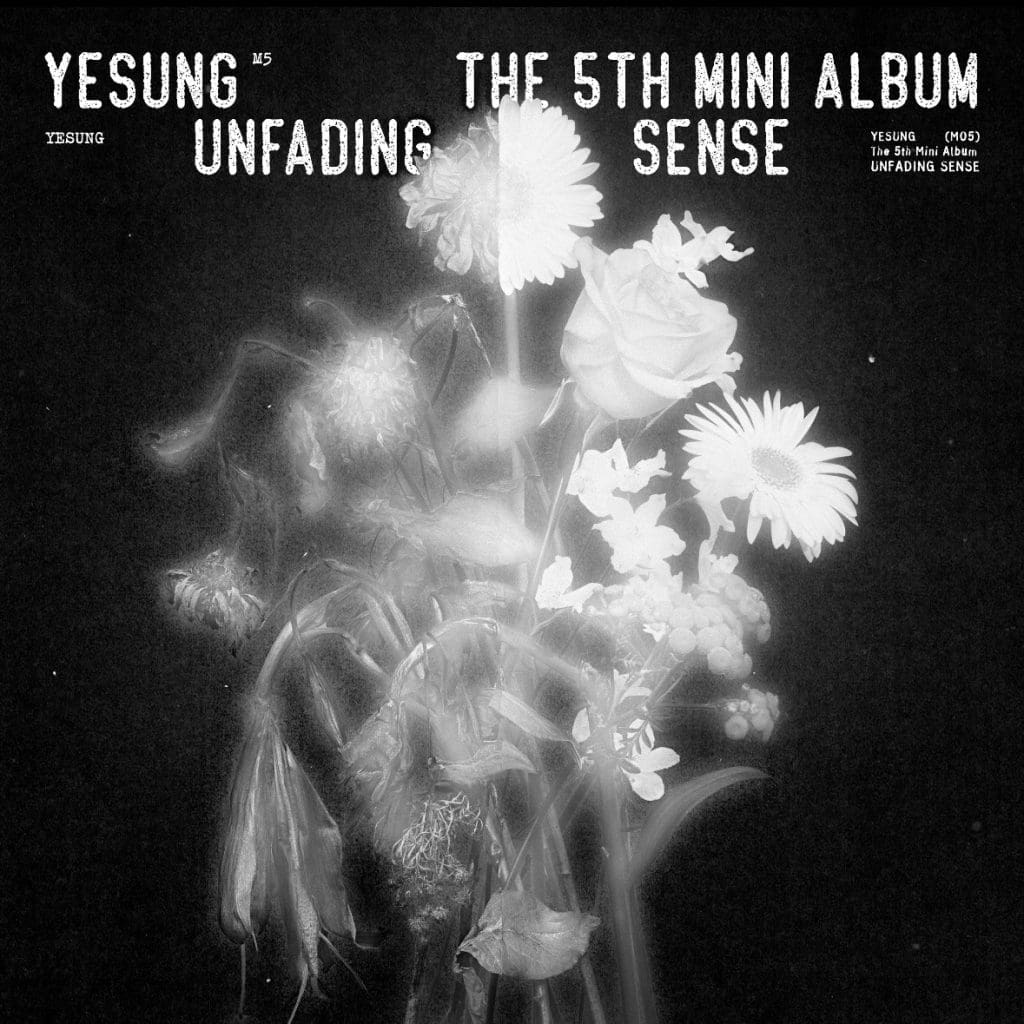 Super Junior's Yesung Set to Enthrall Fans with "Unfading Sense" This October
