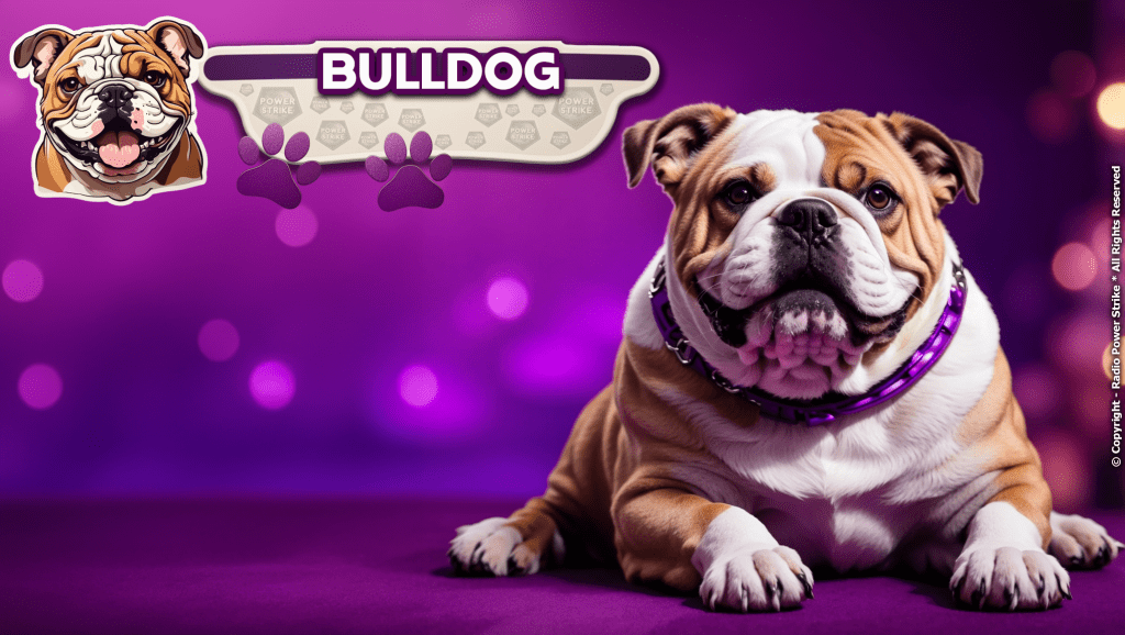 The Bulldog: A Comprehensive Guide