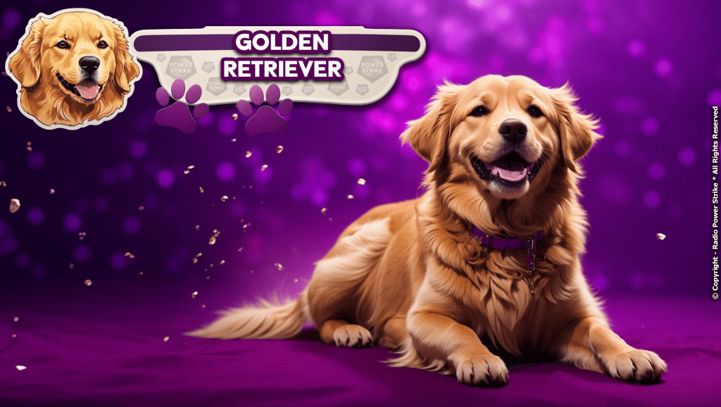 The Golden Retriever: A Comprehensive Guide