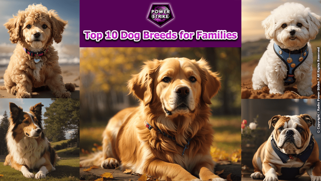 Top 10 Dog Breeds for Families: Finding the Perfect Furry Companion